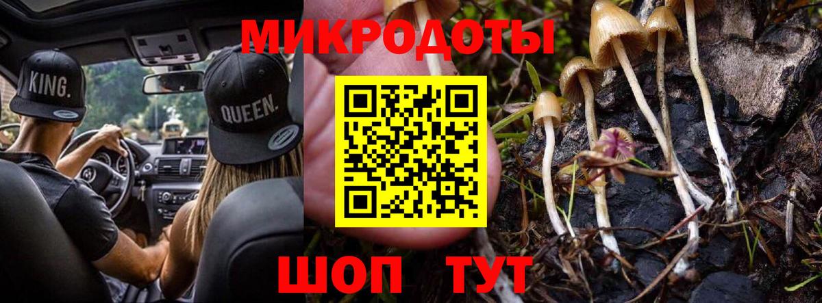 Галлюциногенные грибы Magic Shrooms  Вход с VPN  Галлюциногенные грибы MAGIC MUSHROOMS  Красноярск 